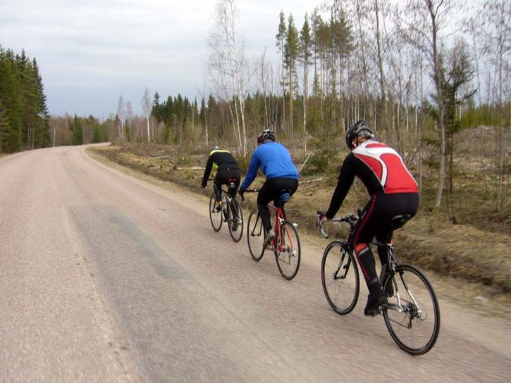 090413PvgmotGubbo.jpg ht=544