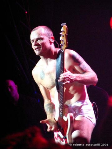 092205190958-flea.jpg ht=480