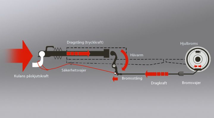 09A04BF5-2293-4666-8208-BD8E2F7192C8.jpeg
