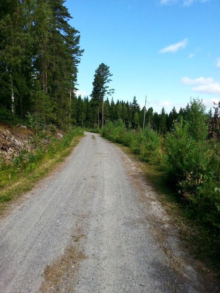 09motTrndal.jpg