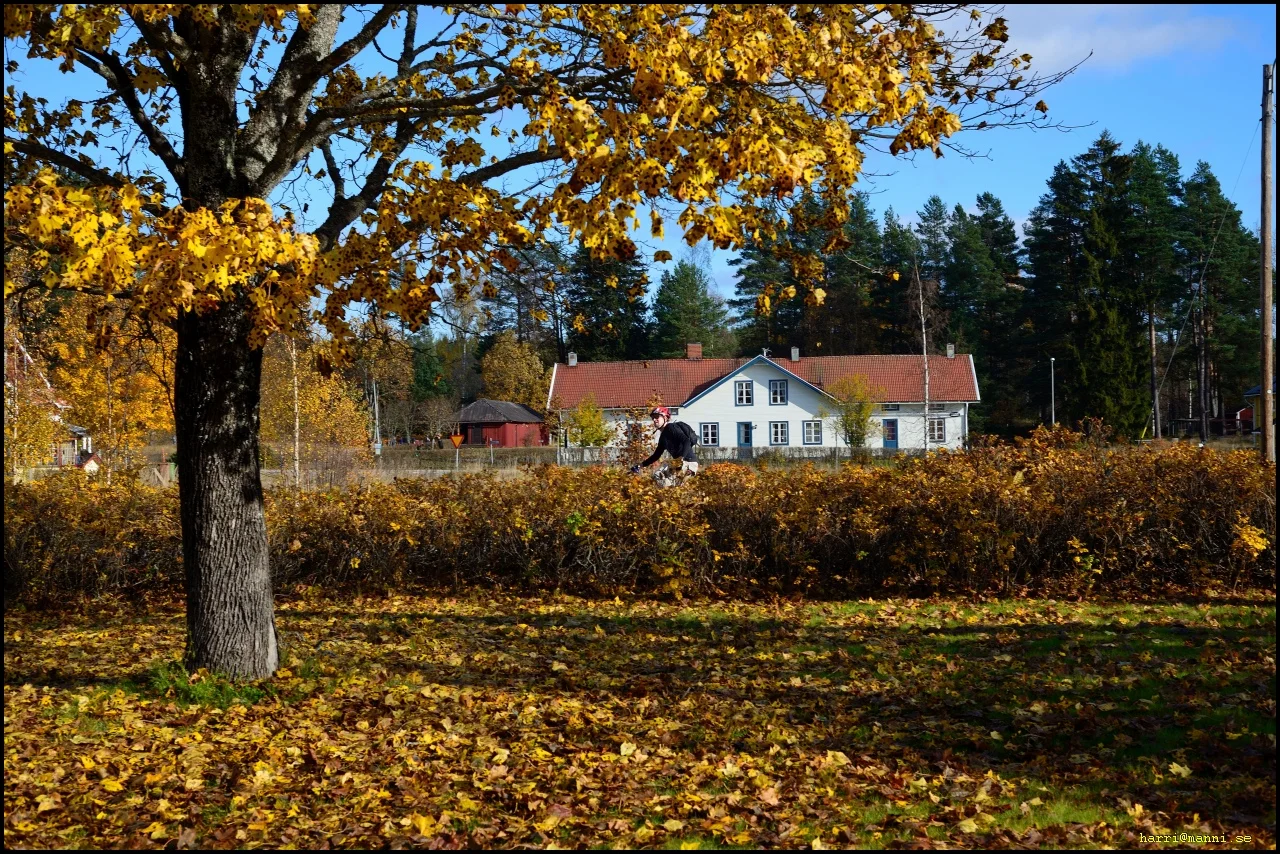0_DSC_7670.webp