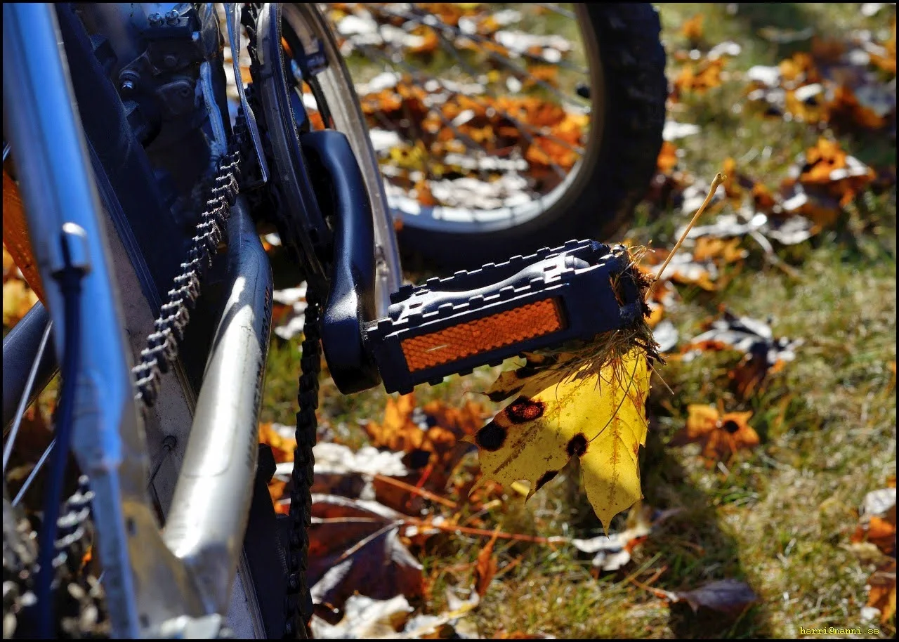 0_DSC_7680.webp
