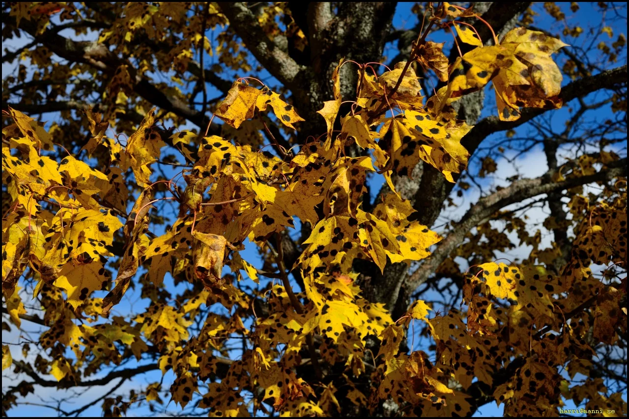 0_DSC_7681.webp