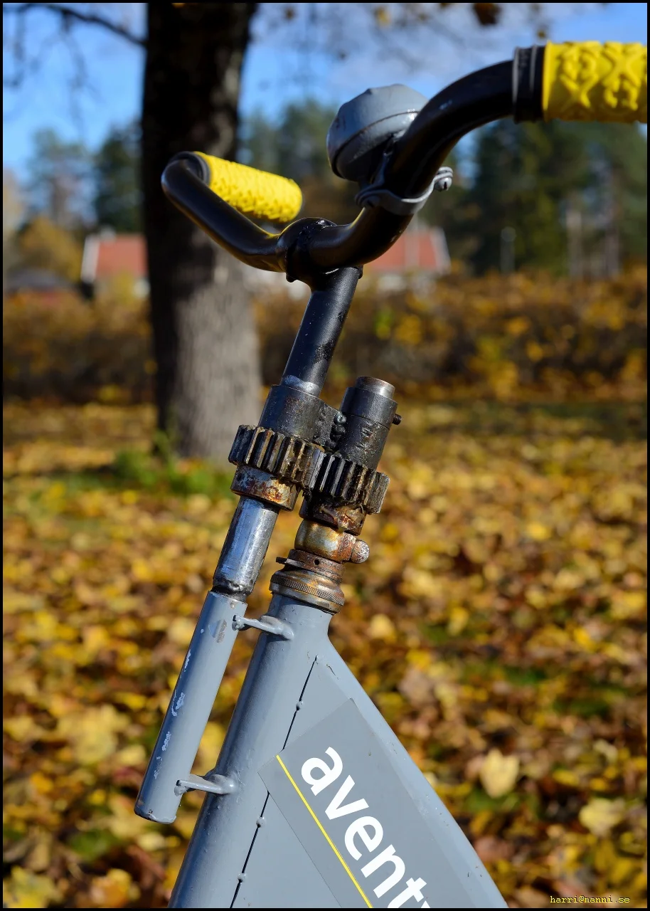 0_DSC_7698.webp