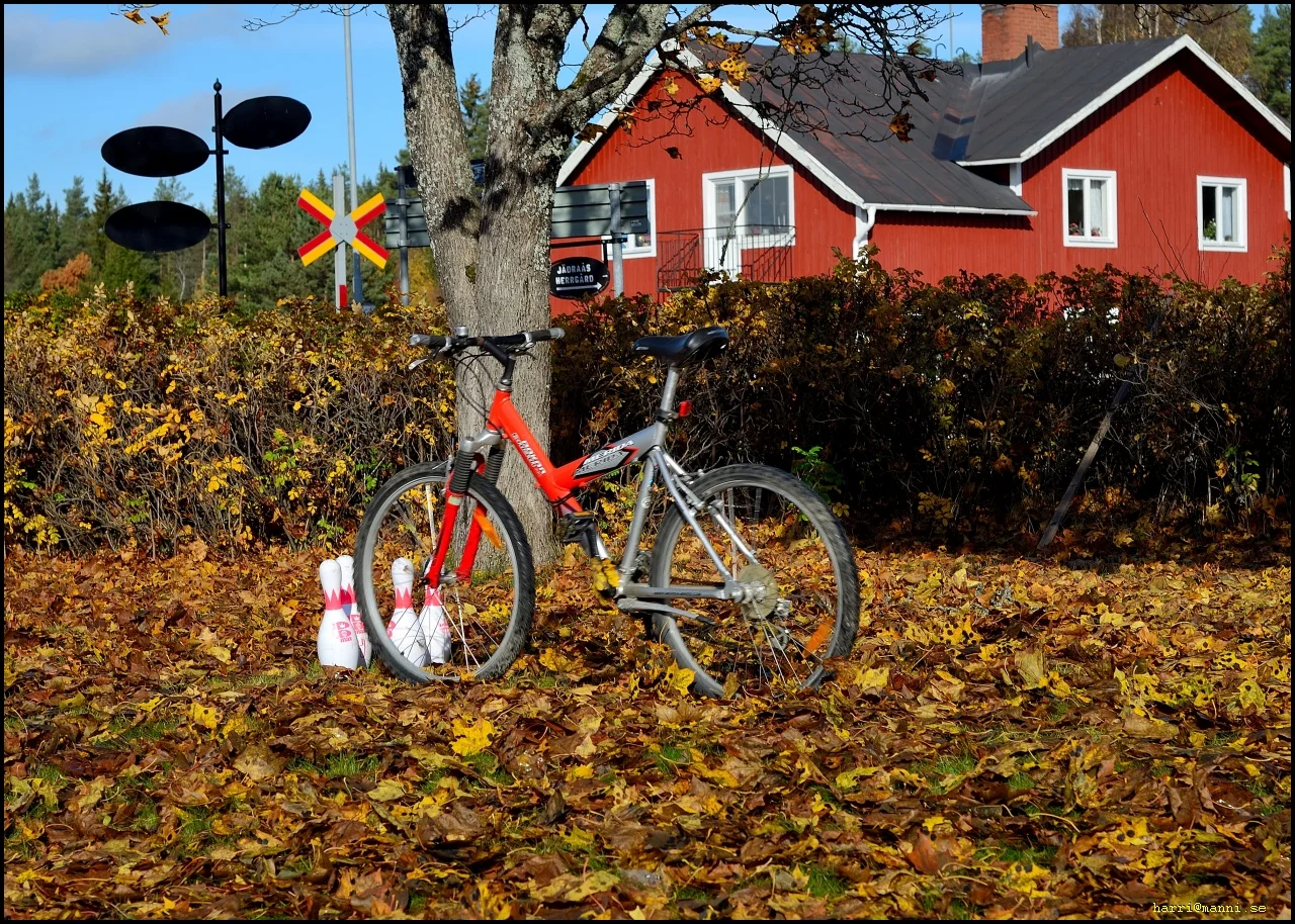 0_DSC_7759.webp