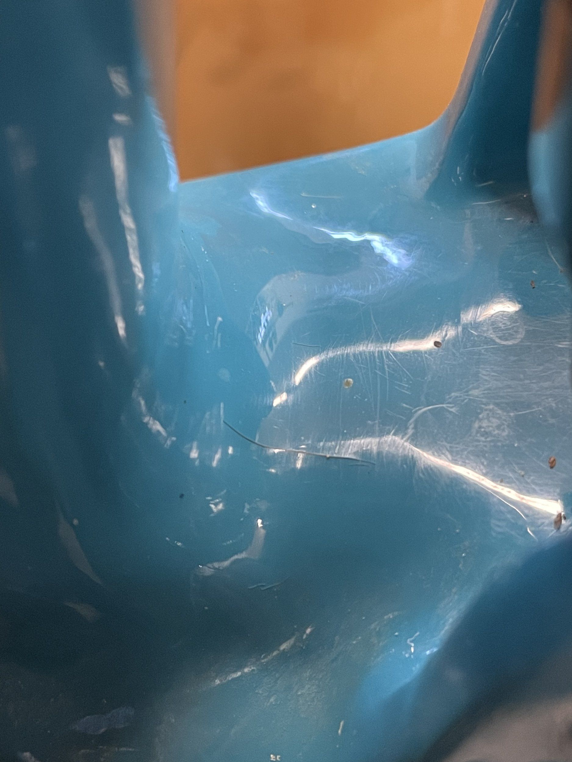 0A0B8723-F005-4134-BC57-7412759C87EA.jpeg
