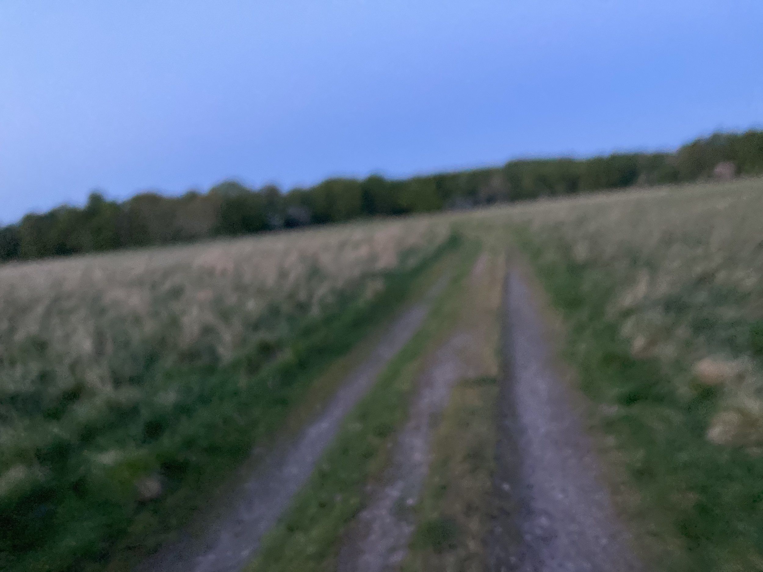 0B4D3A77-26C3-4A23-AAB9-ED3446494C33.jpeg