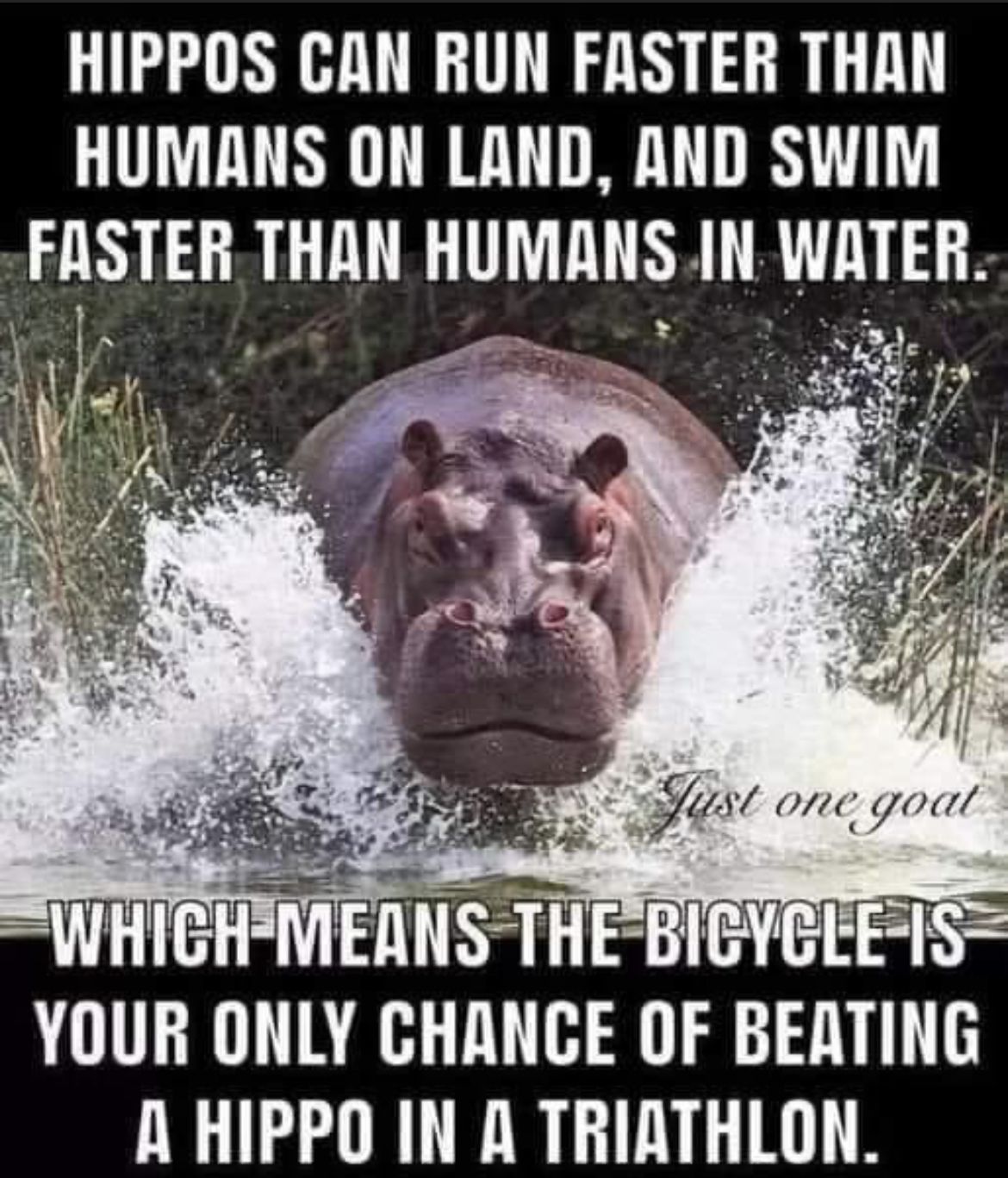 0CB32618-98C1-41A6-9A8A-23D34789B778.jpeg