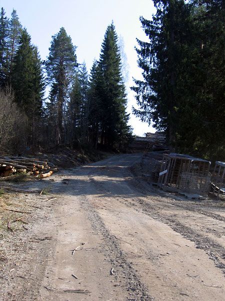 1-3KlissGrus.jpg