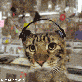 1.gif ht=280