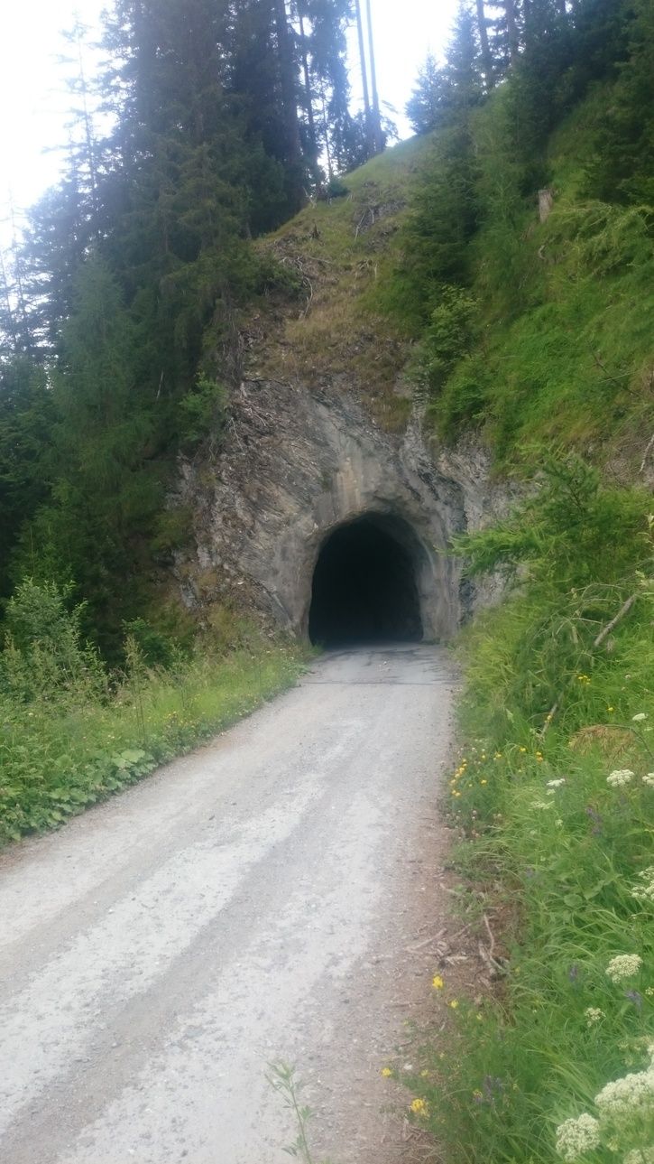 1Tunnel.JPG