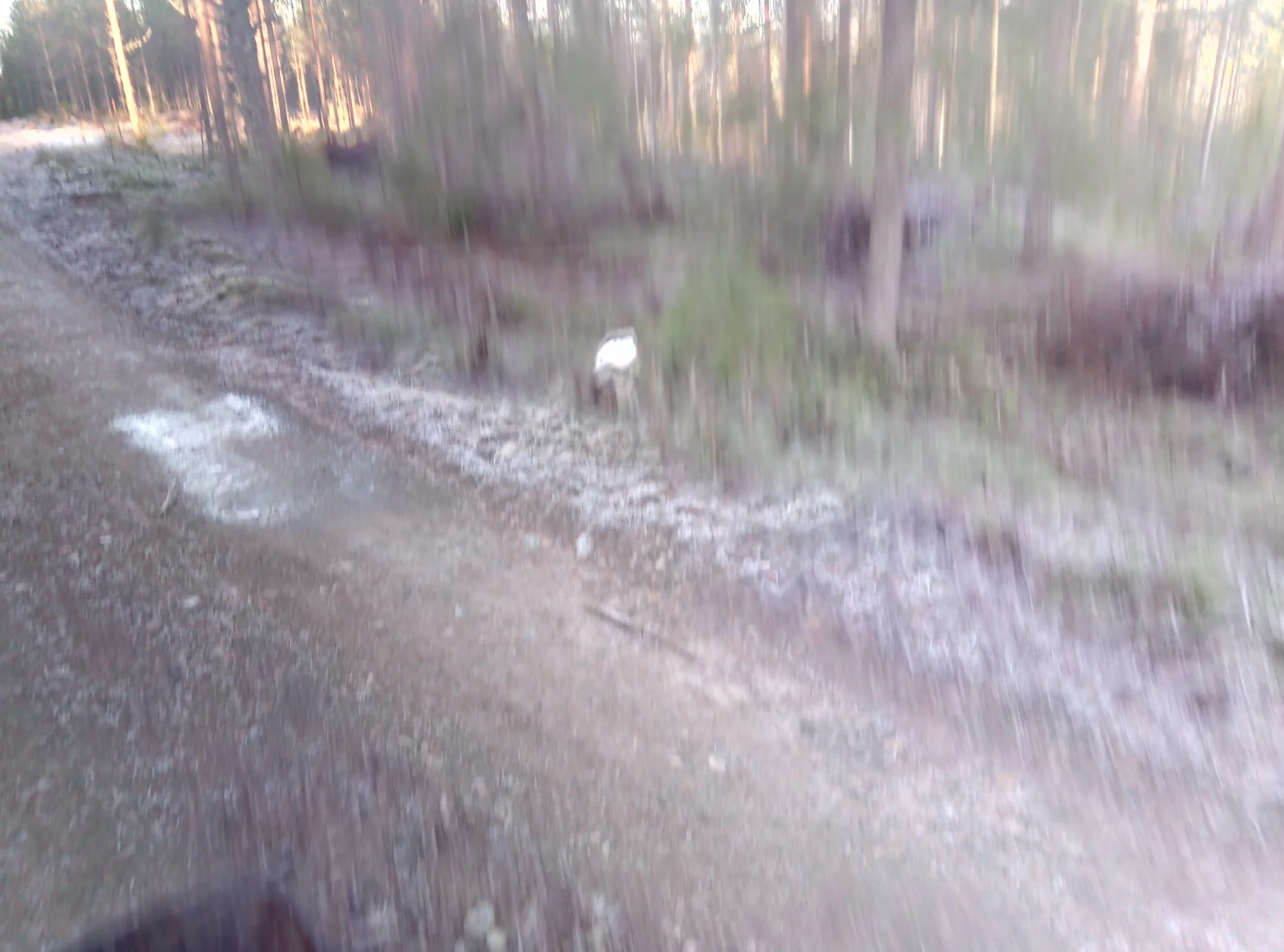 1000000372.webp