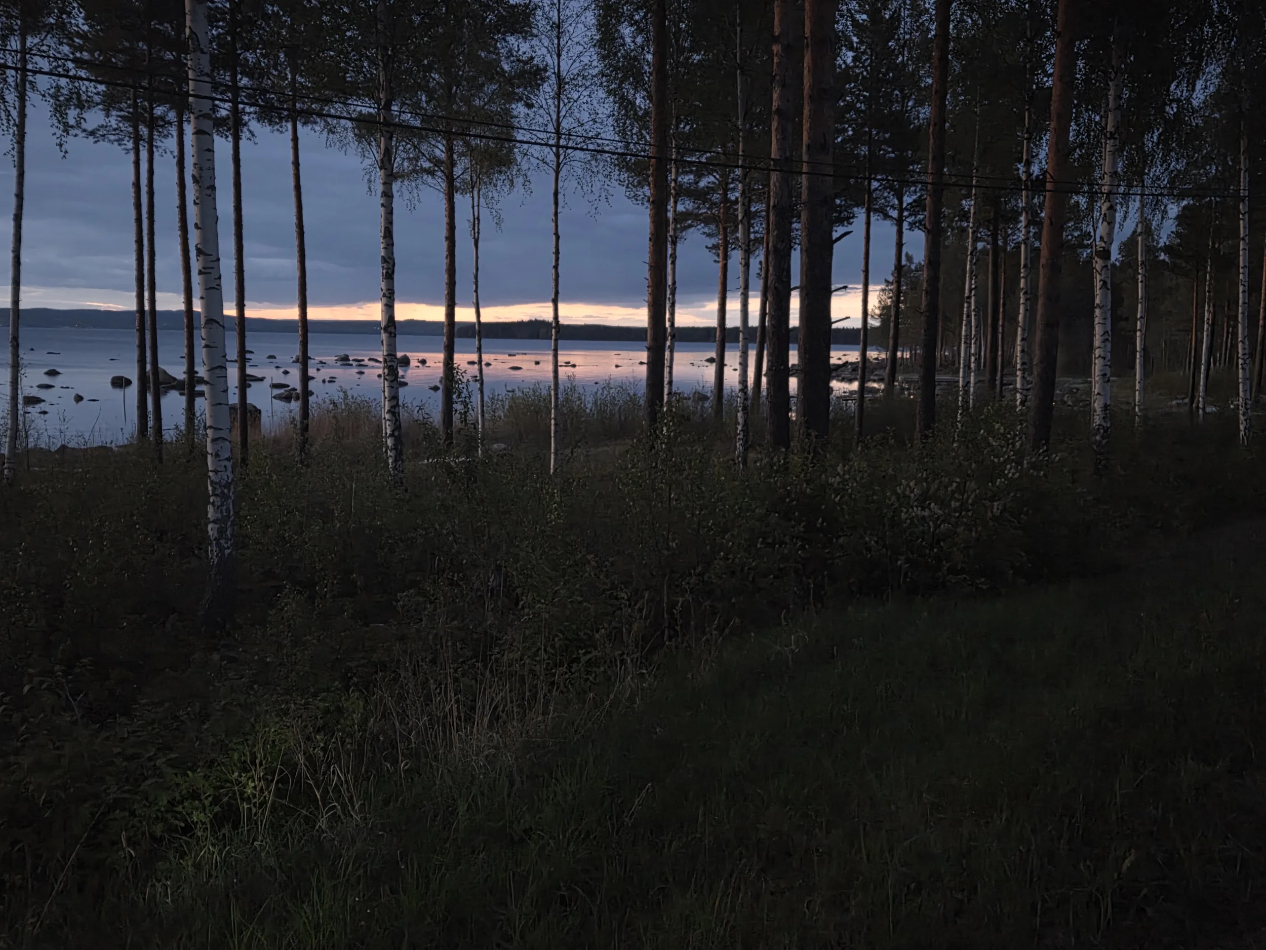 1000002116.webp