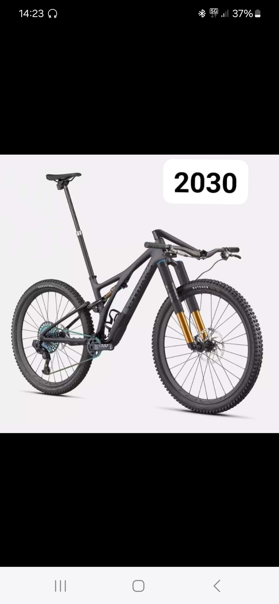 1000002649.jpg