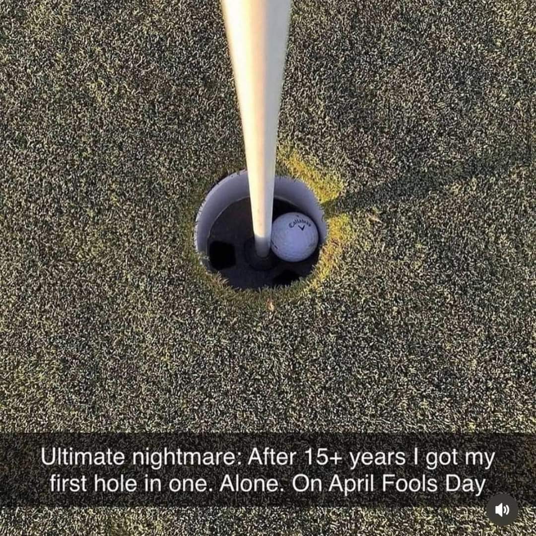 1000003771.jpg