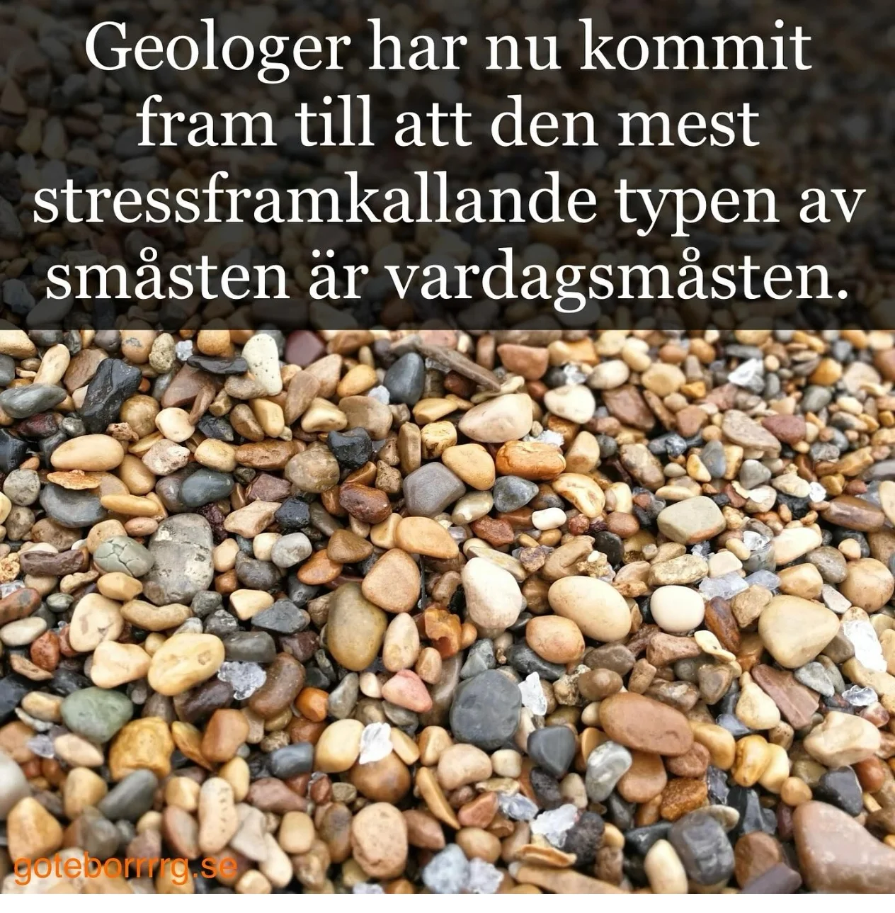 1000006020.webp