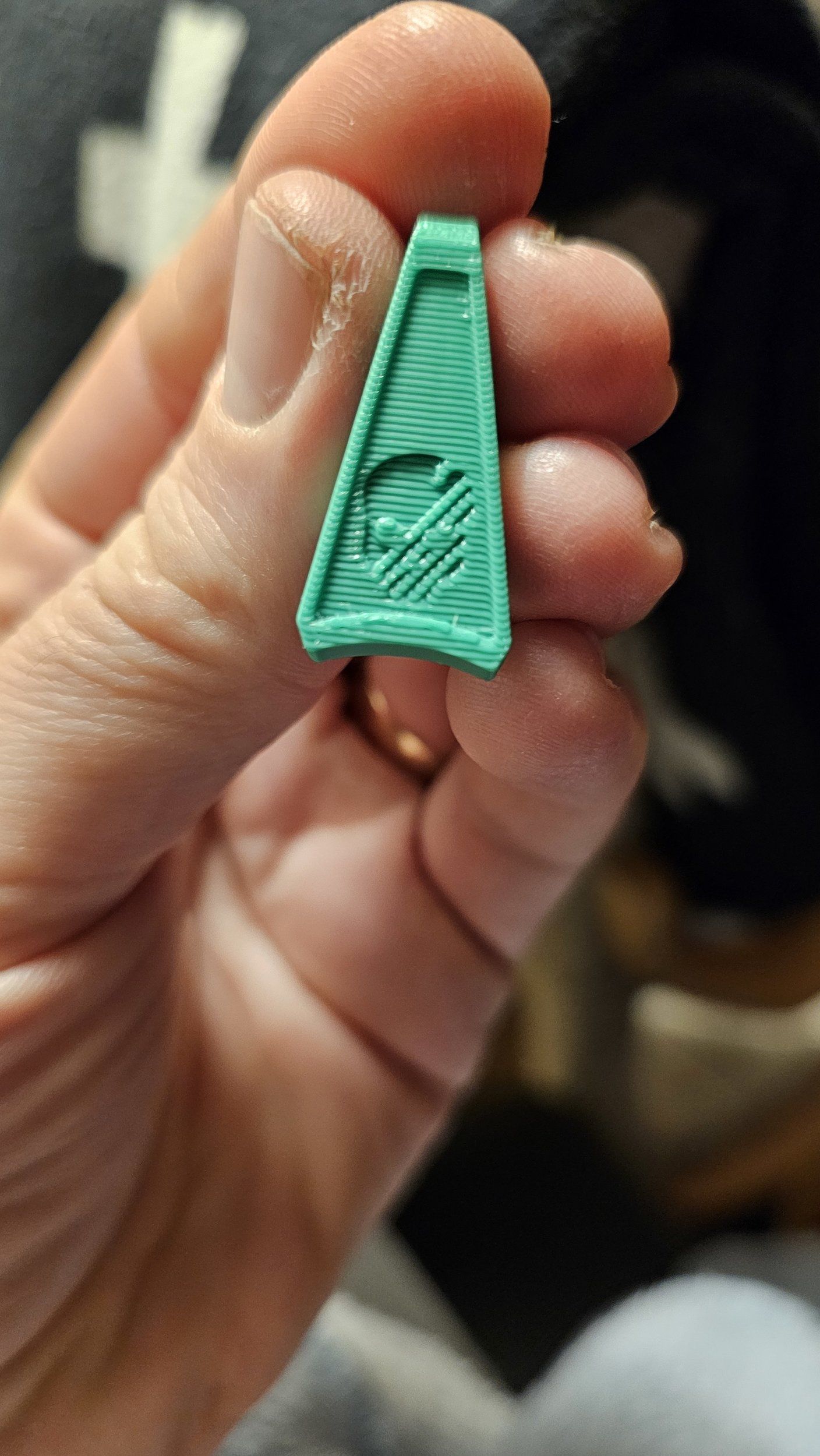 1000007817.jpg