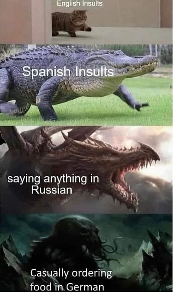 1000008294.jpg