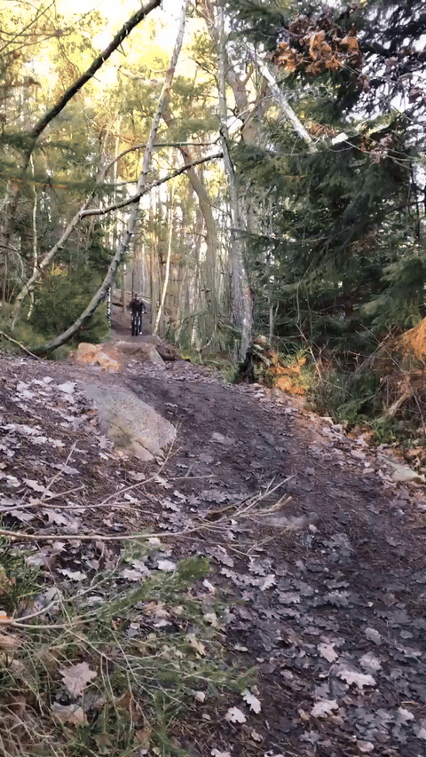 1000008437.gif