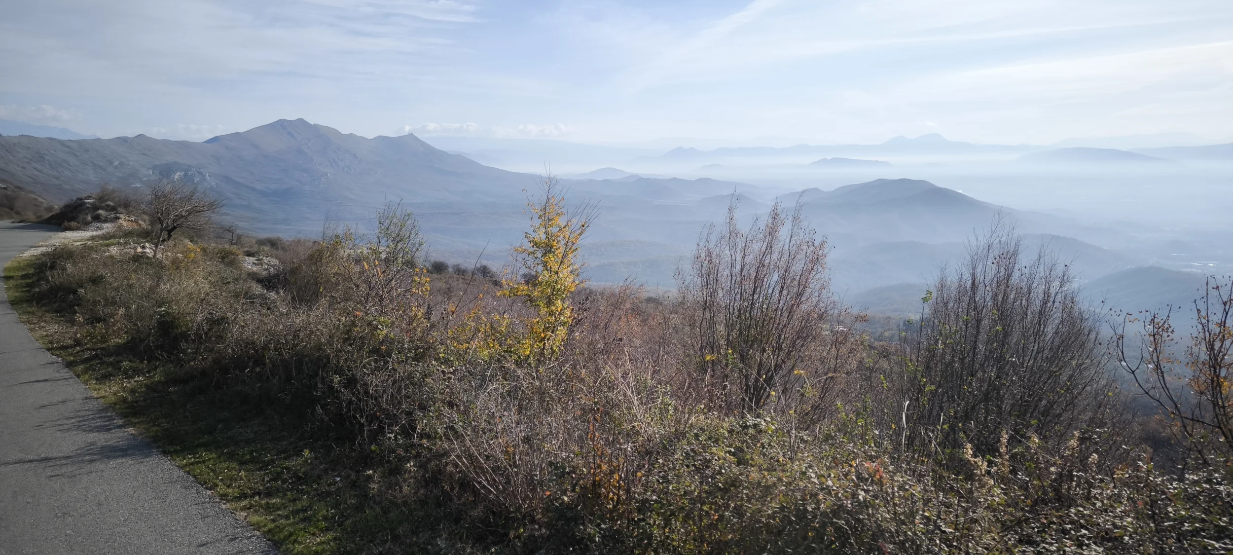 1000008622.webp