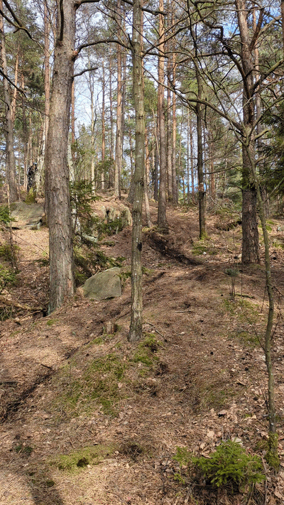 1000010325.gif
