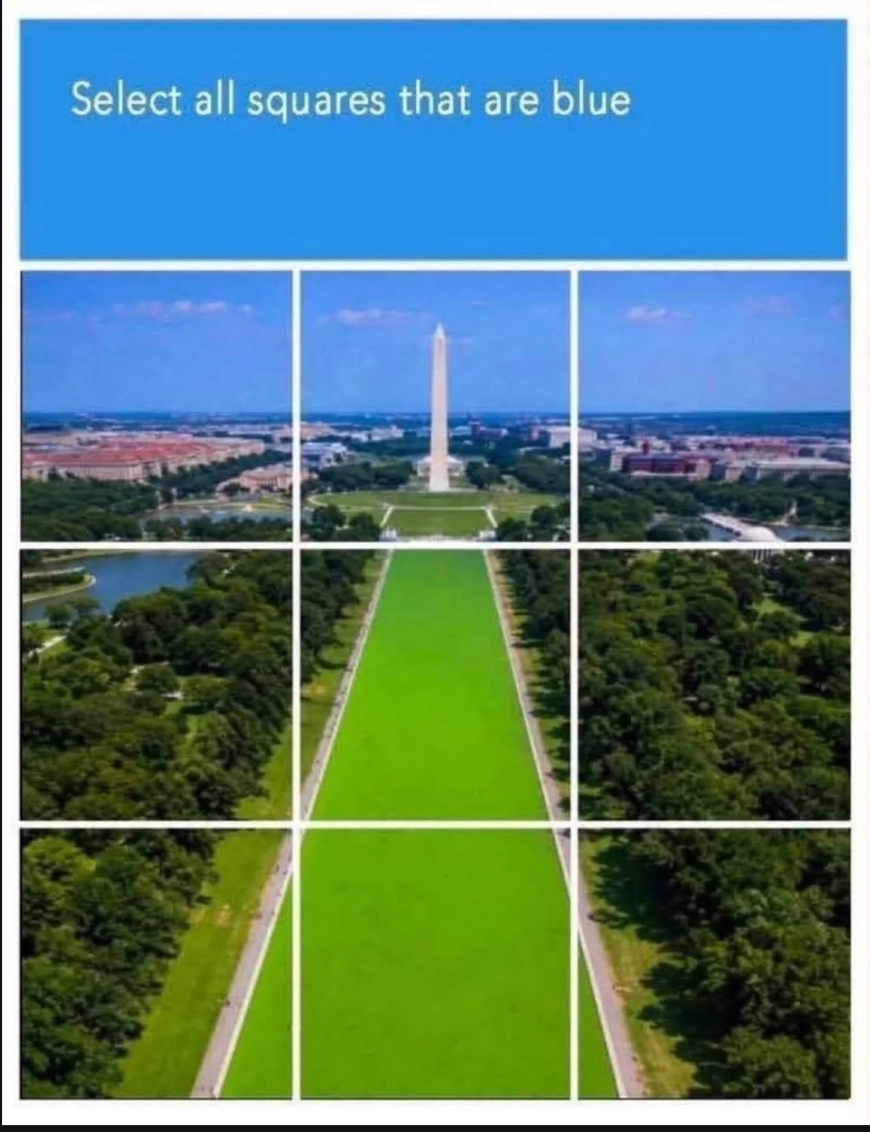 1000010550.webp