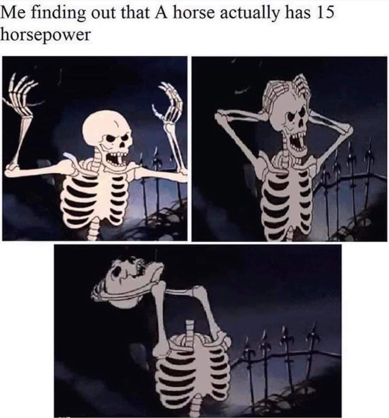 1000010877.jpg