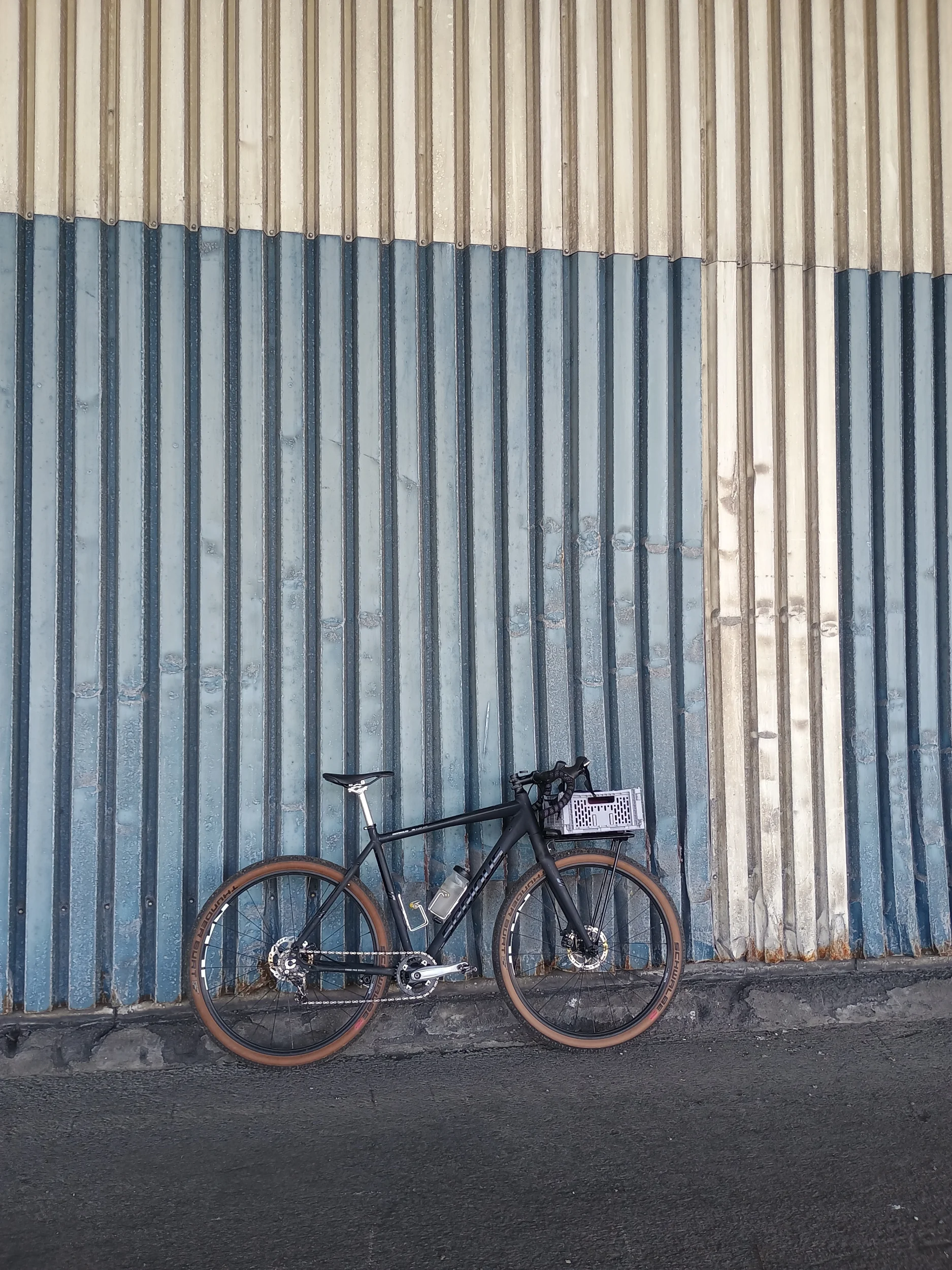1000011578.webp
