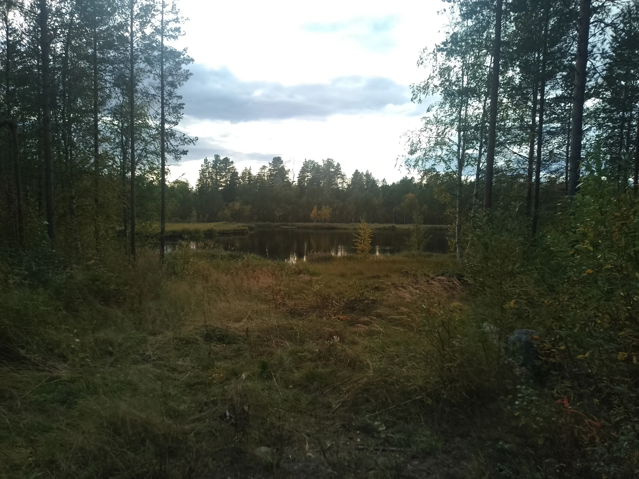 1000011644.webp