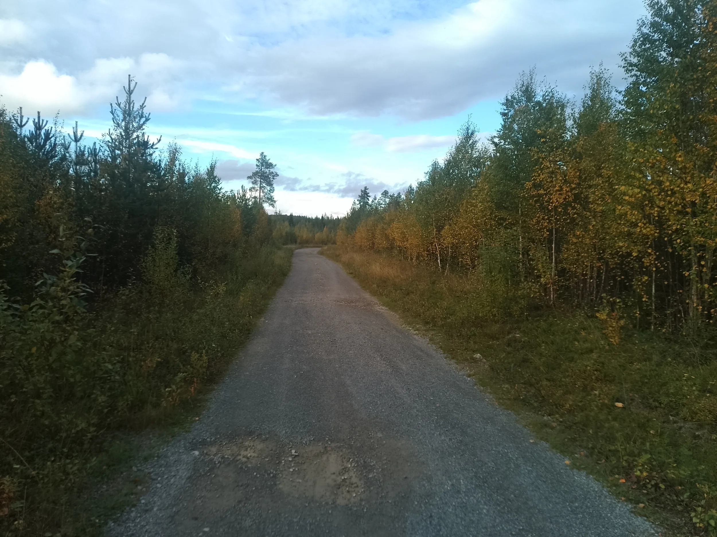 1000011646.webp
