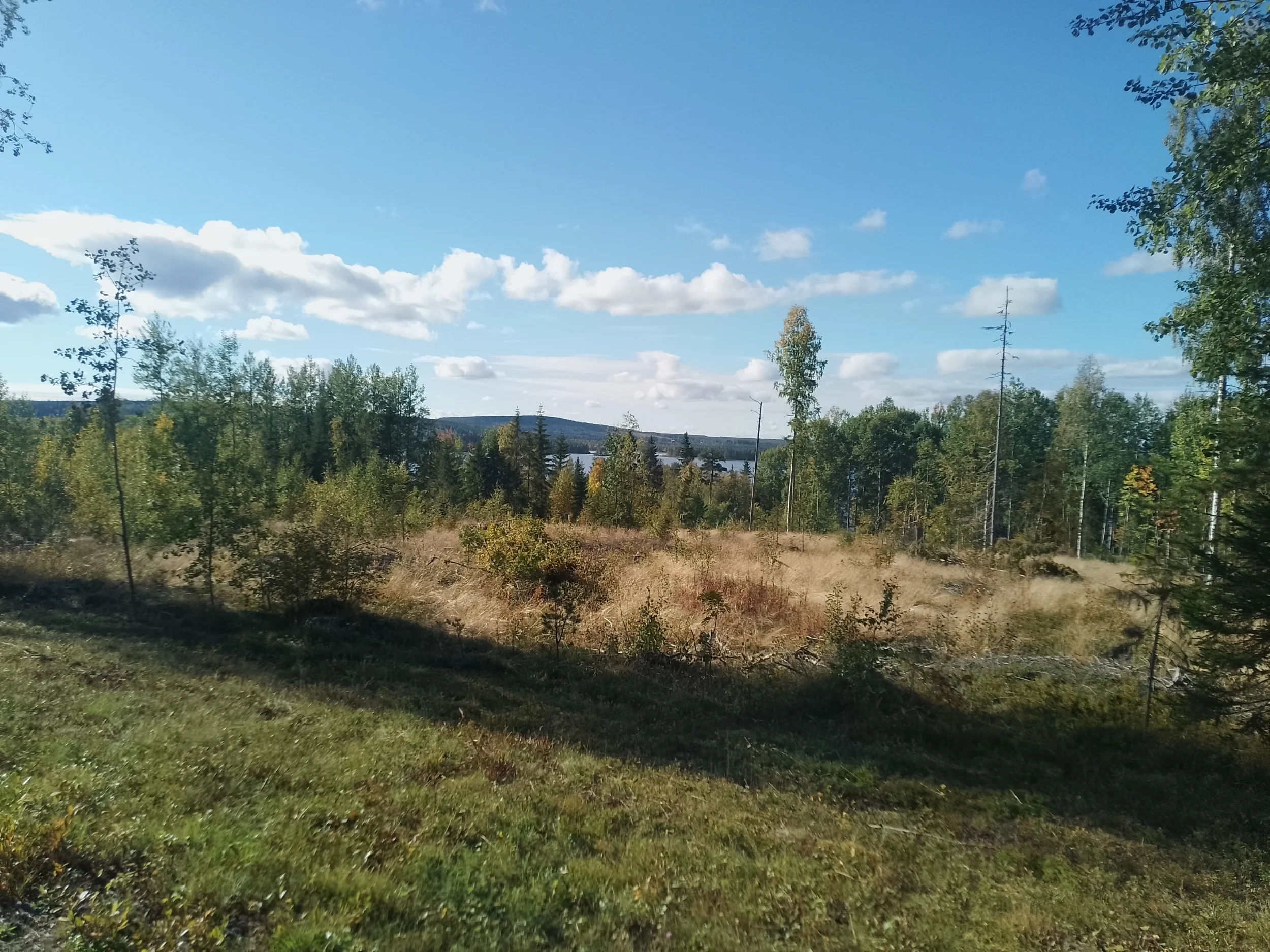 1000011671.webp