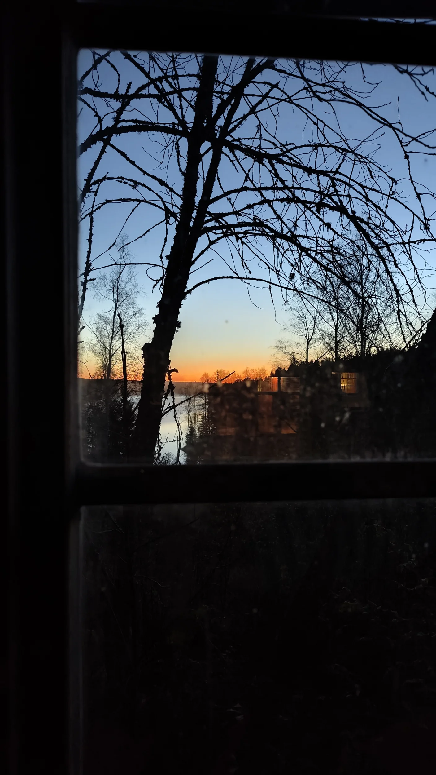 1000011880.webp