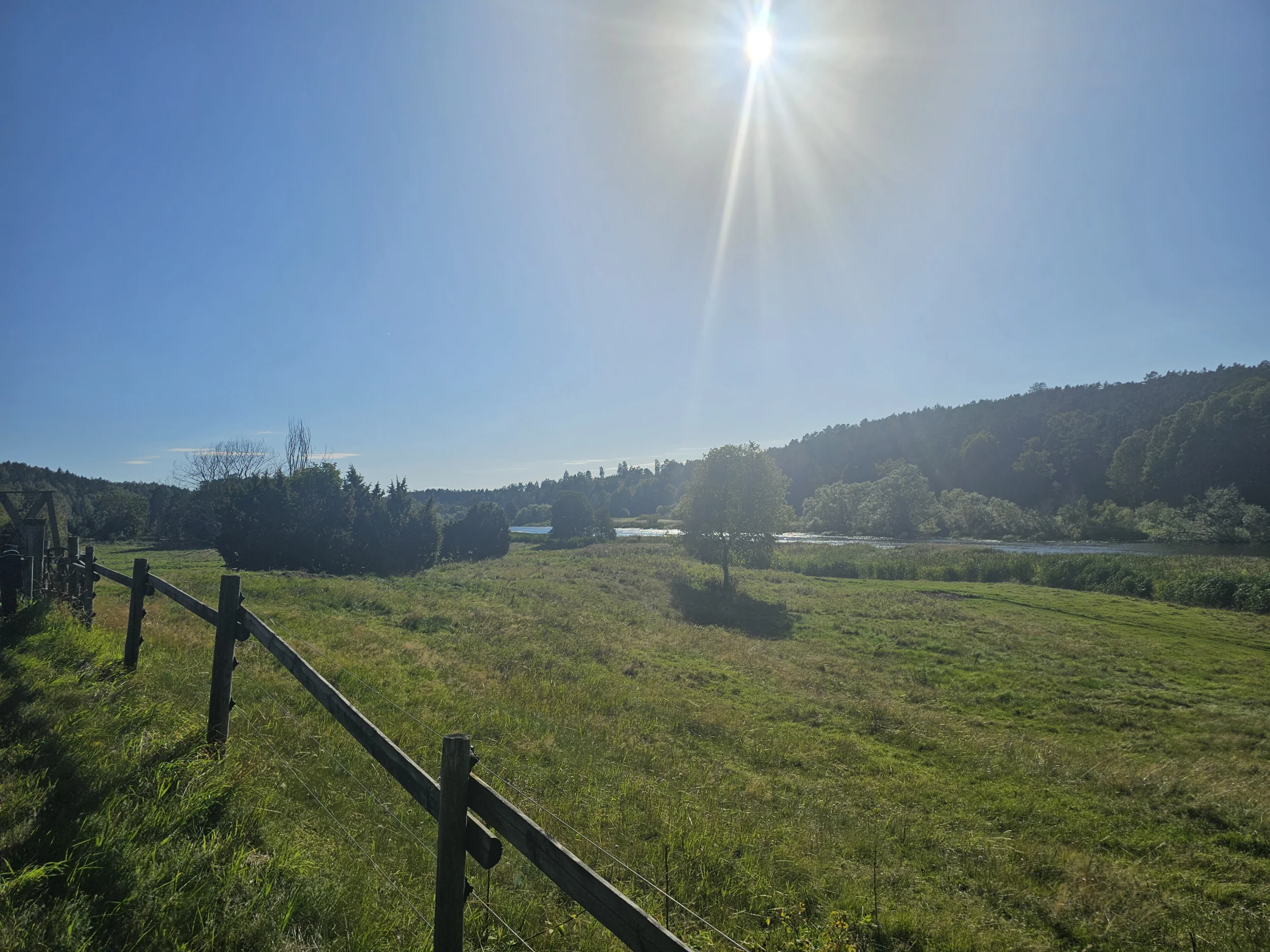 1000012407.webp