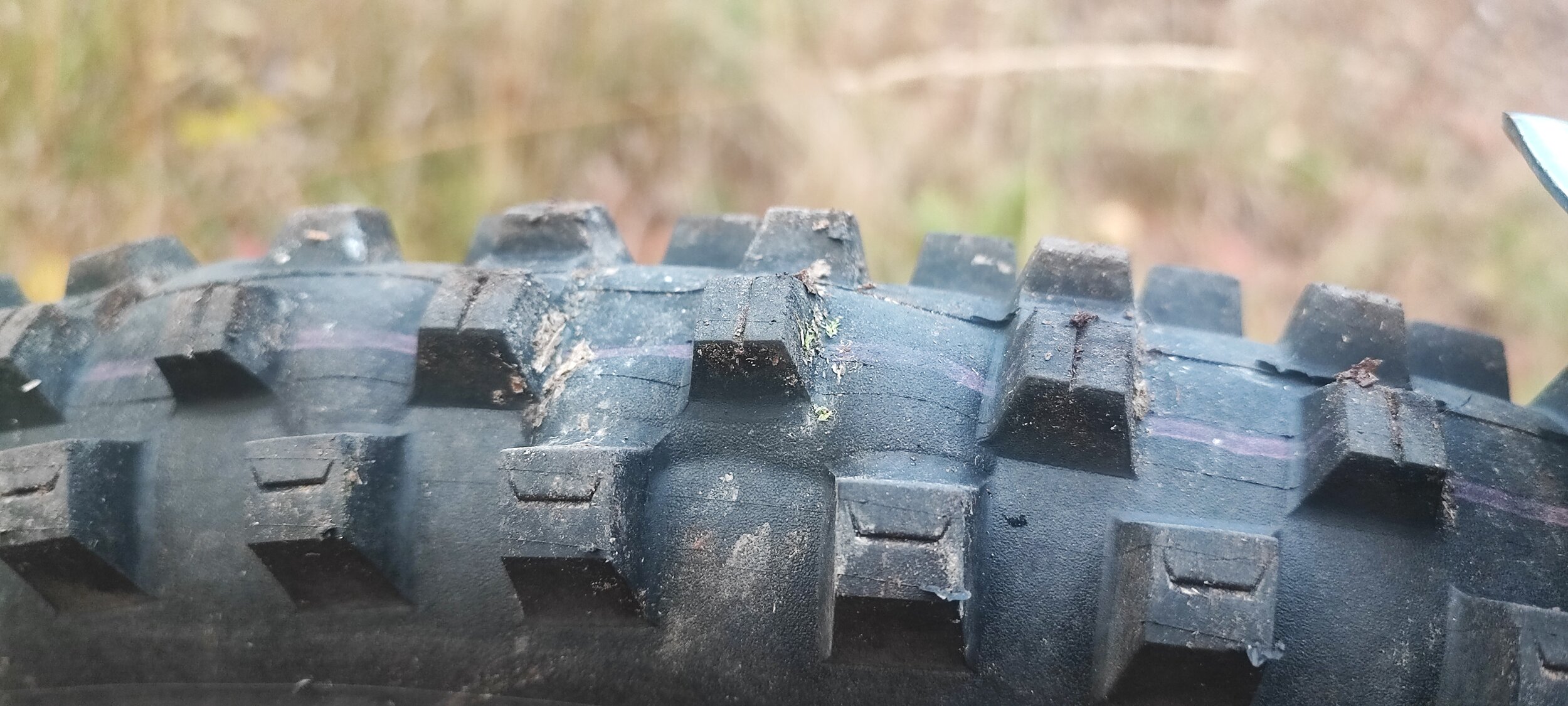 1000016380.jpgValhalla_ · 2024-10-07 kl 18:00