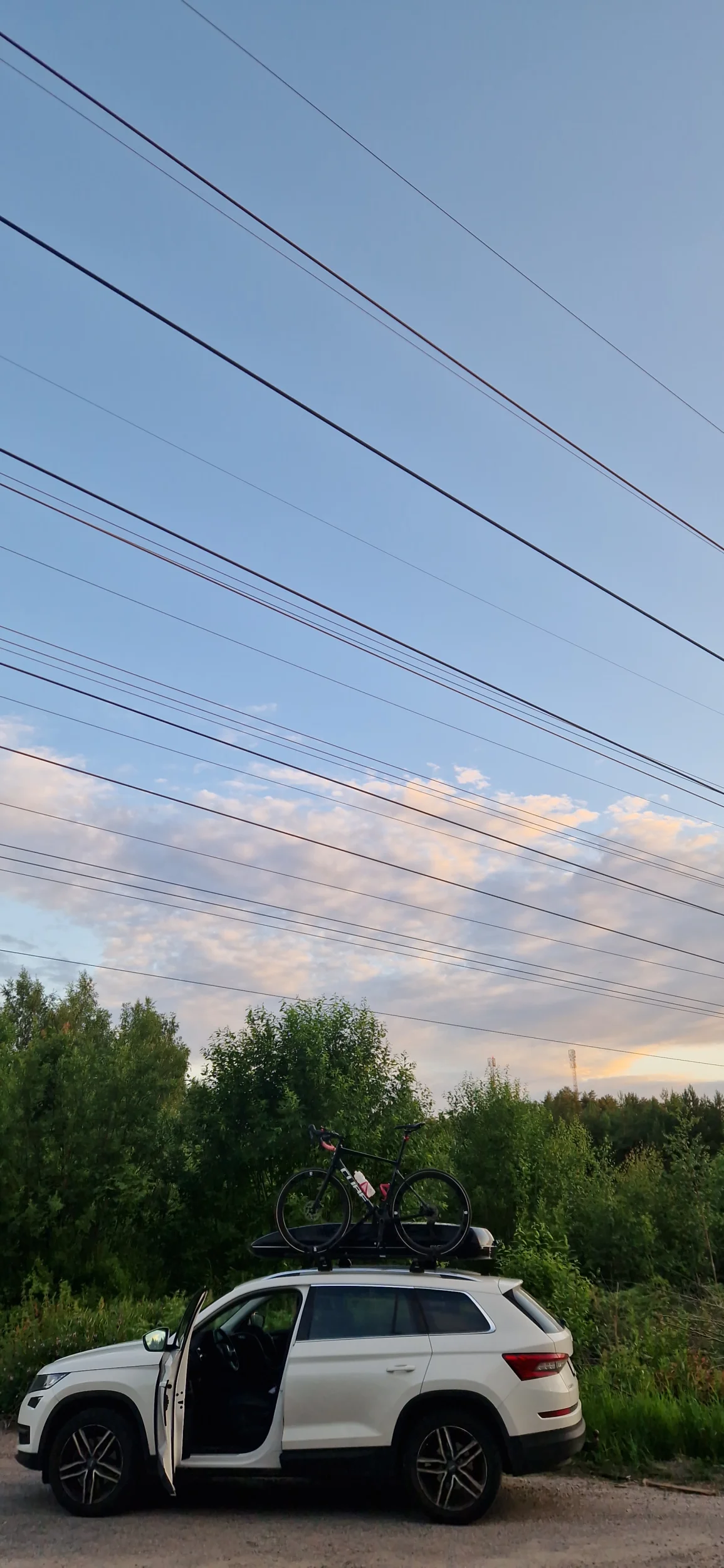 1000017076.webp