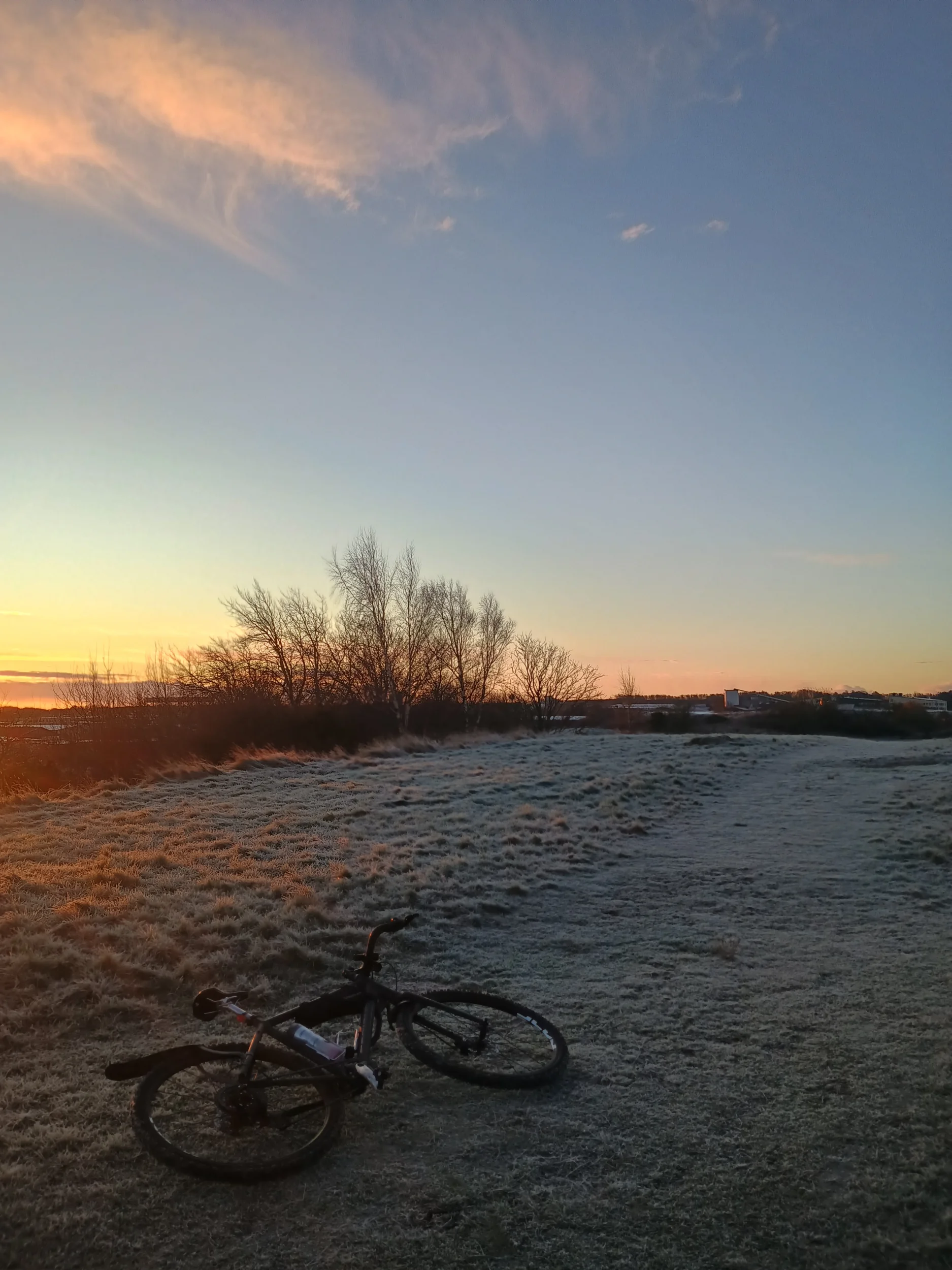 1000018232.webp