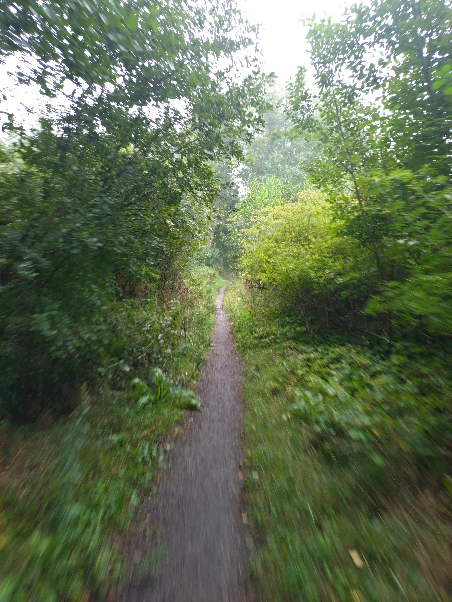 1000019650.webp