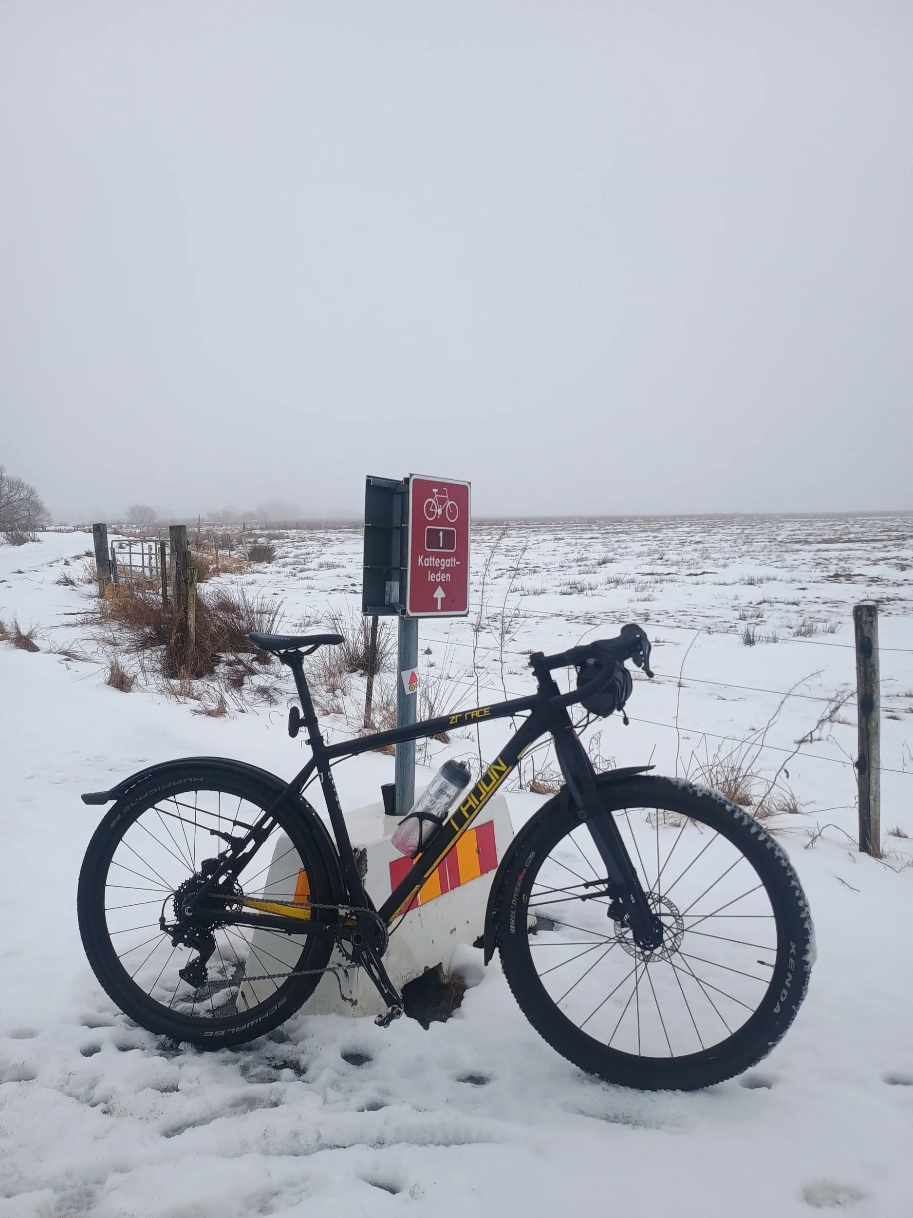 1000021974.webp