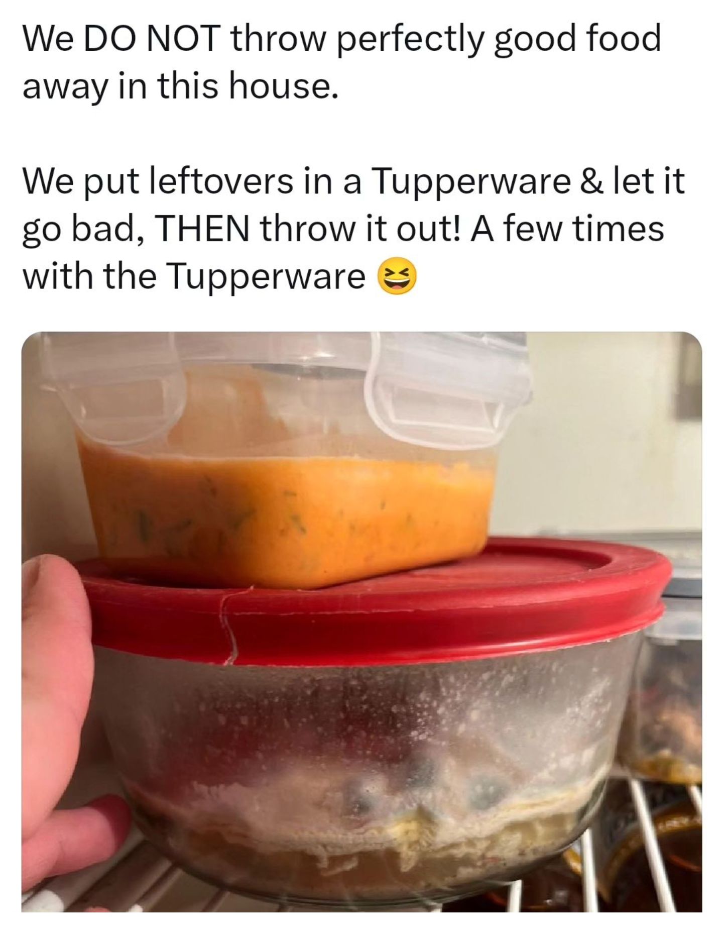 1000024123.jpg
