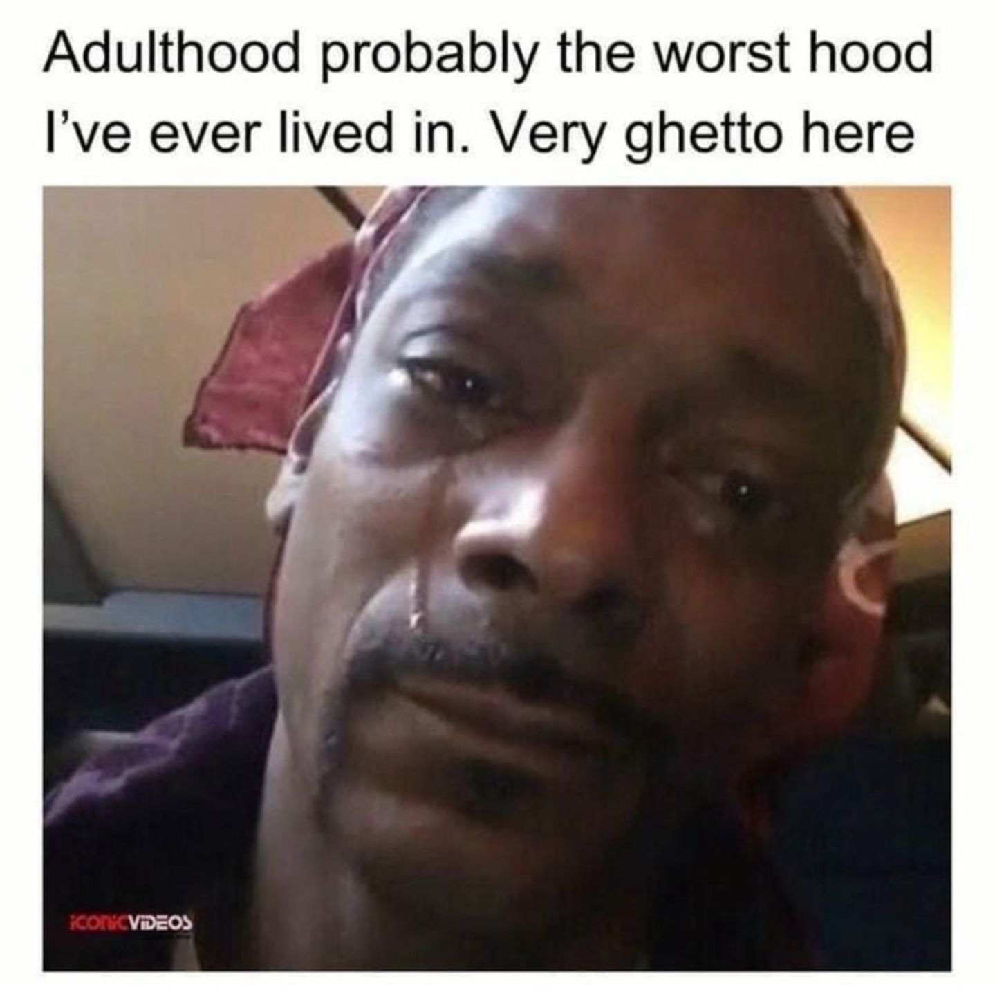 1000024273.jpg
