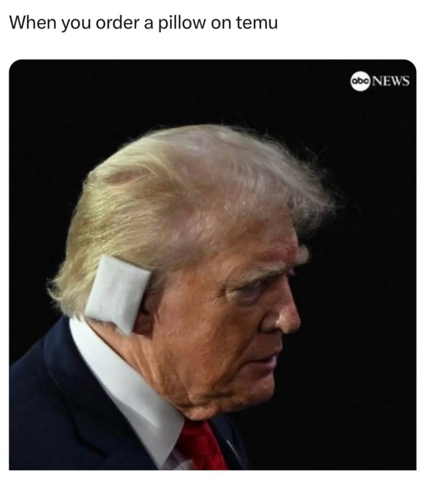 1000025996.jpg