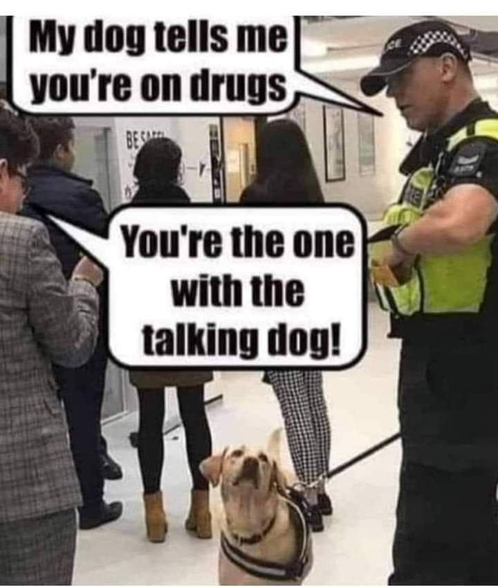 1000028678.jpg