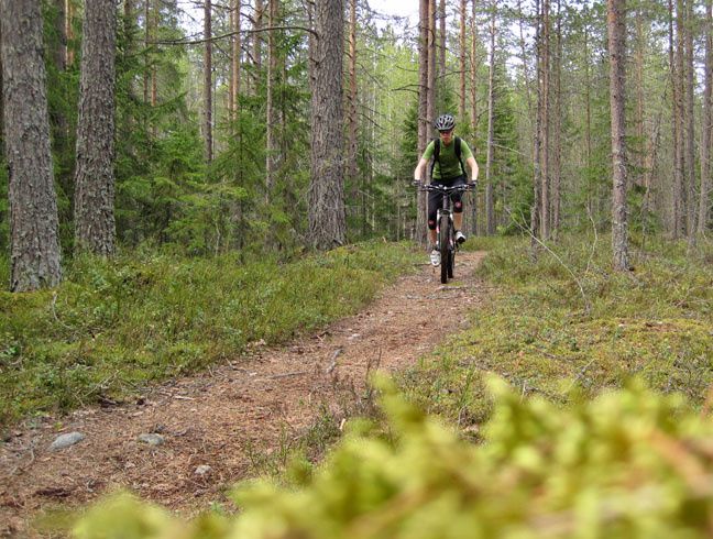 100514Sommarvrme.jpg ht=490