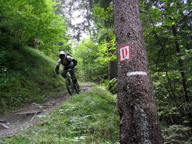 100_0086.jpg ht=480