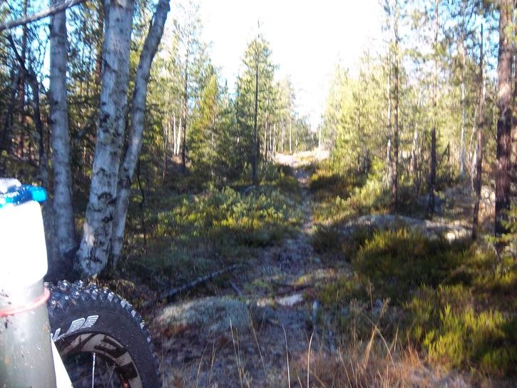 100_1442.JPG