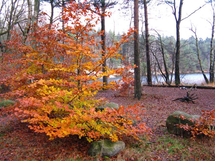 100_1787.jpg ht=544