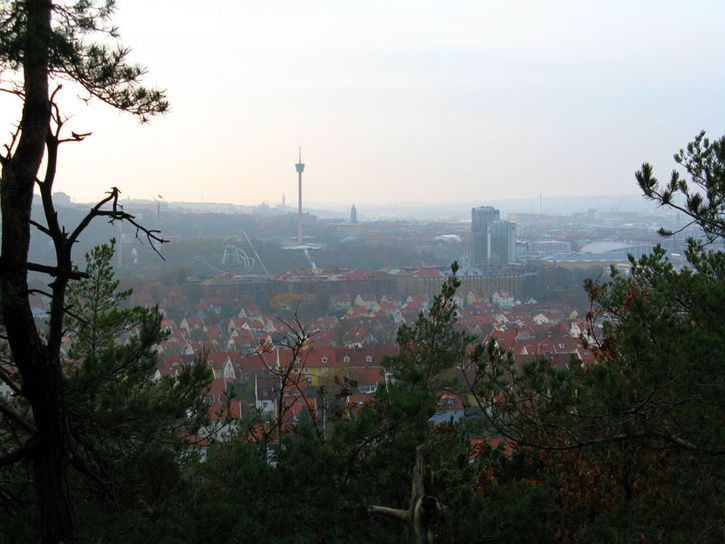 100_1789.jpg ht=544