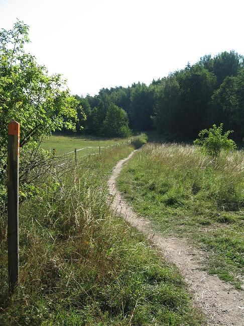 100_2100_r1.jpg ht=648