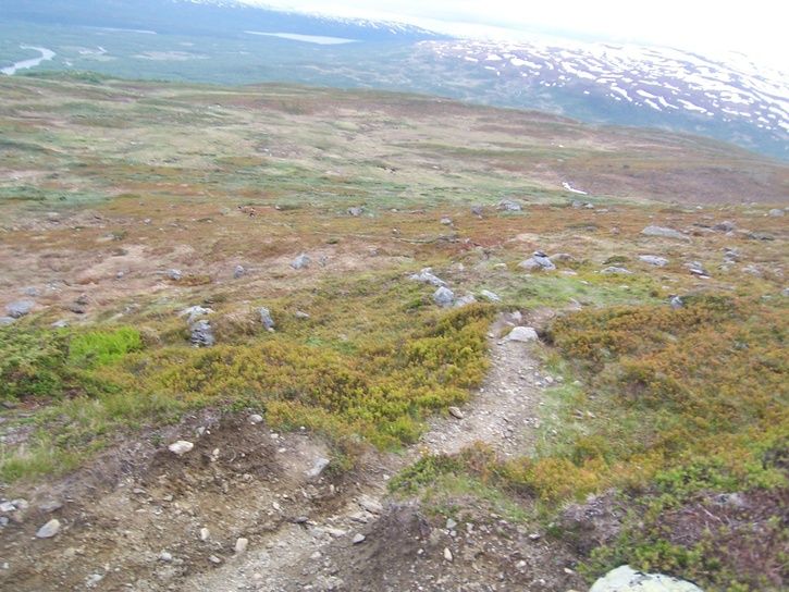 100_3340.jpg