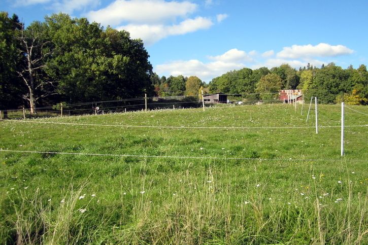 101002-ix-063.jpg ht=483